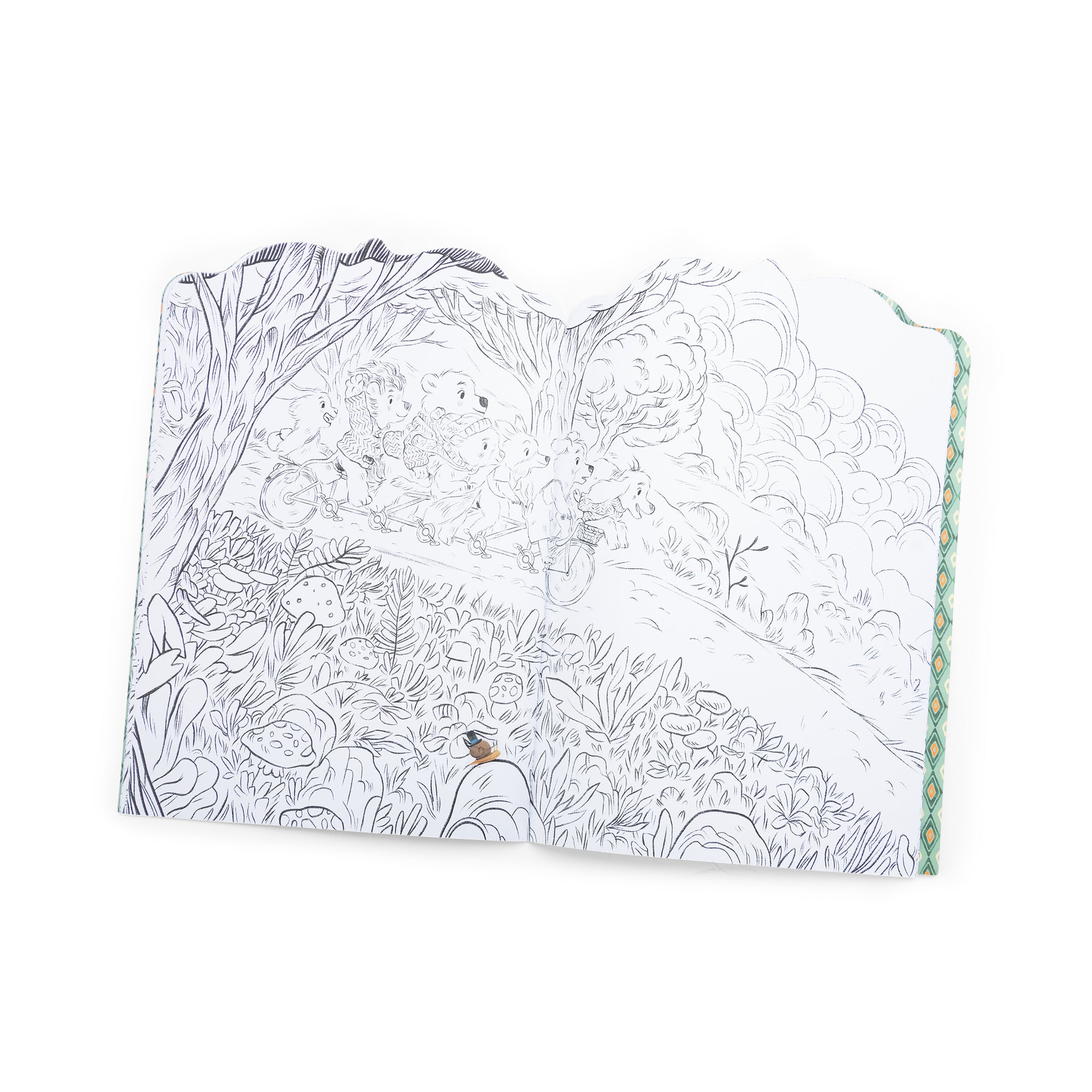 Coloring book with nature-themed illustrations on a white background