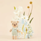 Cuddle and kind tiny charlie honey bear in a box 