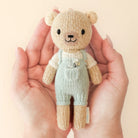 Cuddle and kind tiny charlie honey bear in a box 