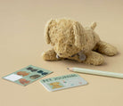 Stuffed dog toy with pet journal, cards, and pencil on a beige background