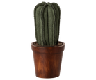 Maileg miniature flower pot & cactus