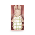 Stuffed rabbit toy in a checkered dress with red hearts in a pink box on a white background