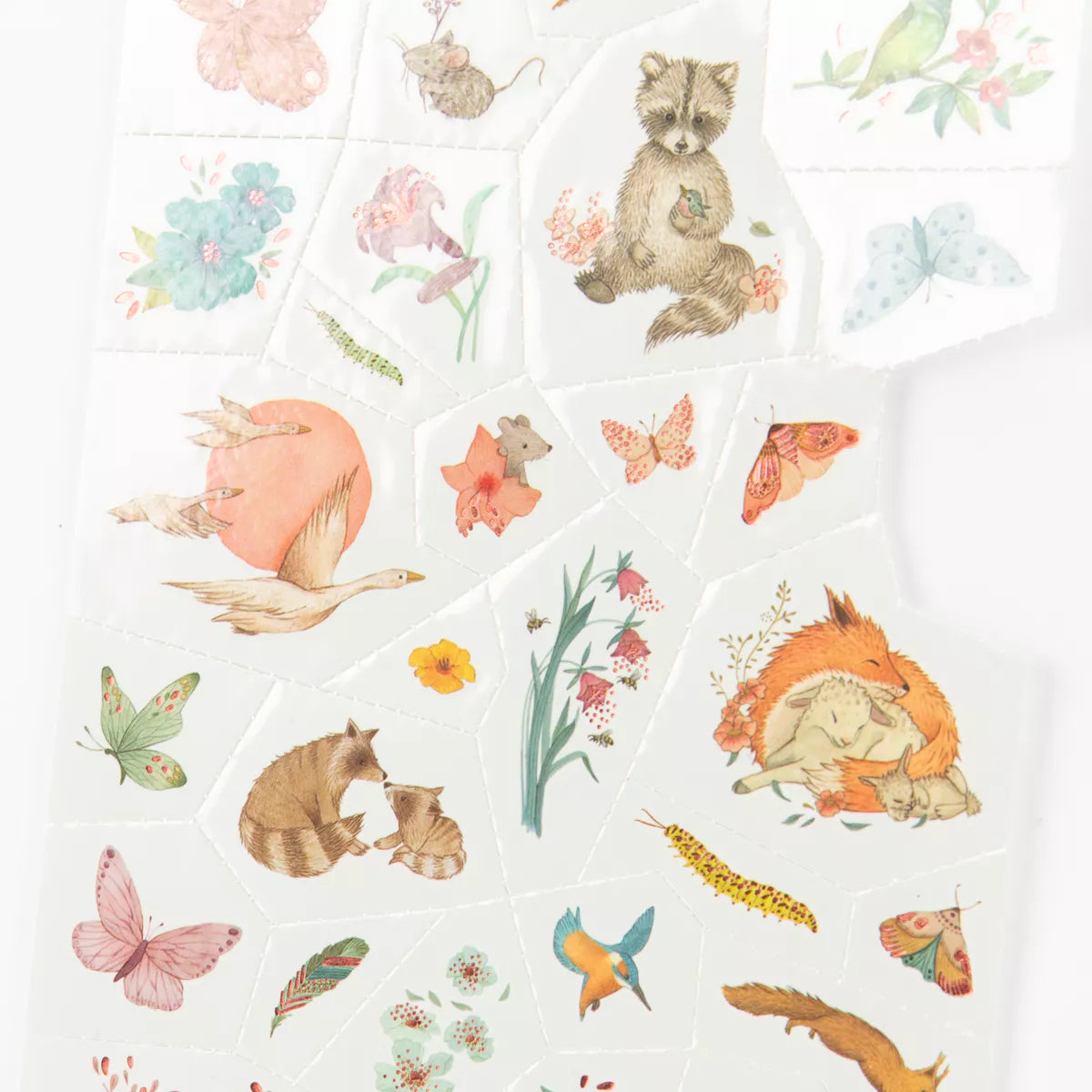 Set of Moulin Roty children's tattoos with animals and plants on a white background