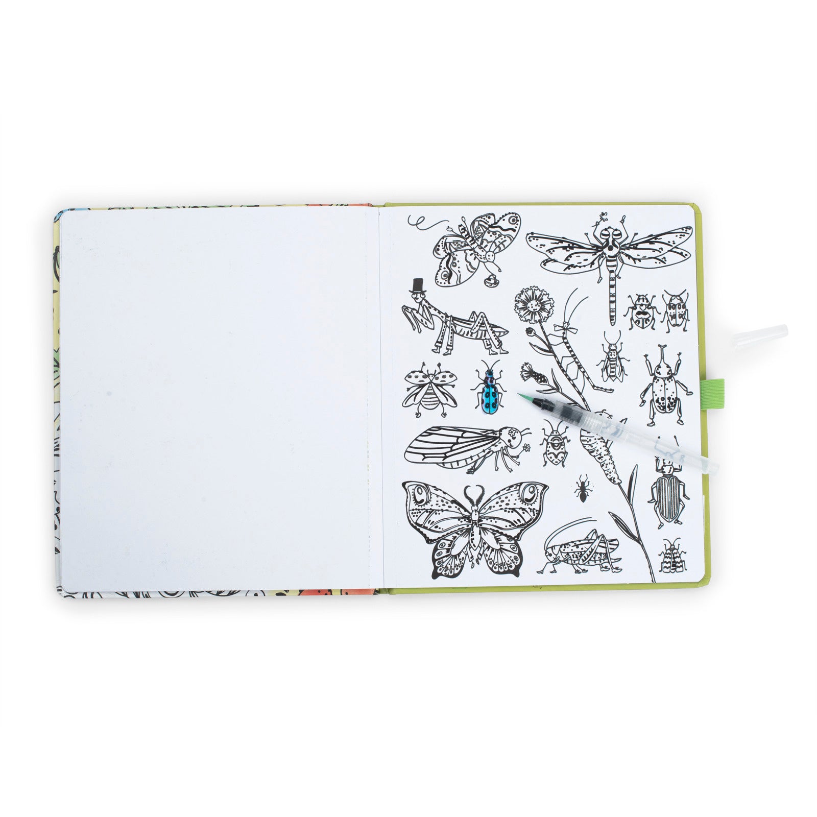 Coloring book with insect illustrations on a white background 2