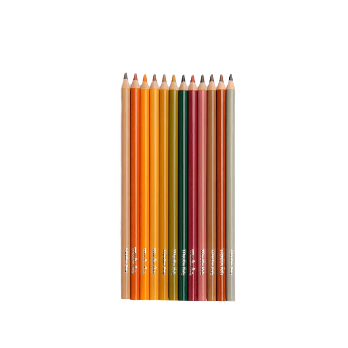 Set of colored pencils in various colors on a white background